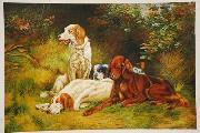 unknow artist Dogs 033 Germany oil painting artist